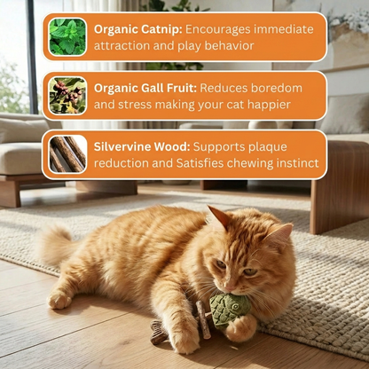 🐱 Slimoly® CatFish Blend – Natural Catnip & Silvervine Dental Chew 🐟